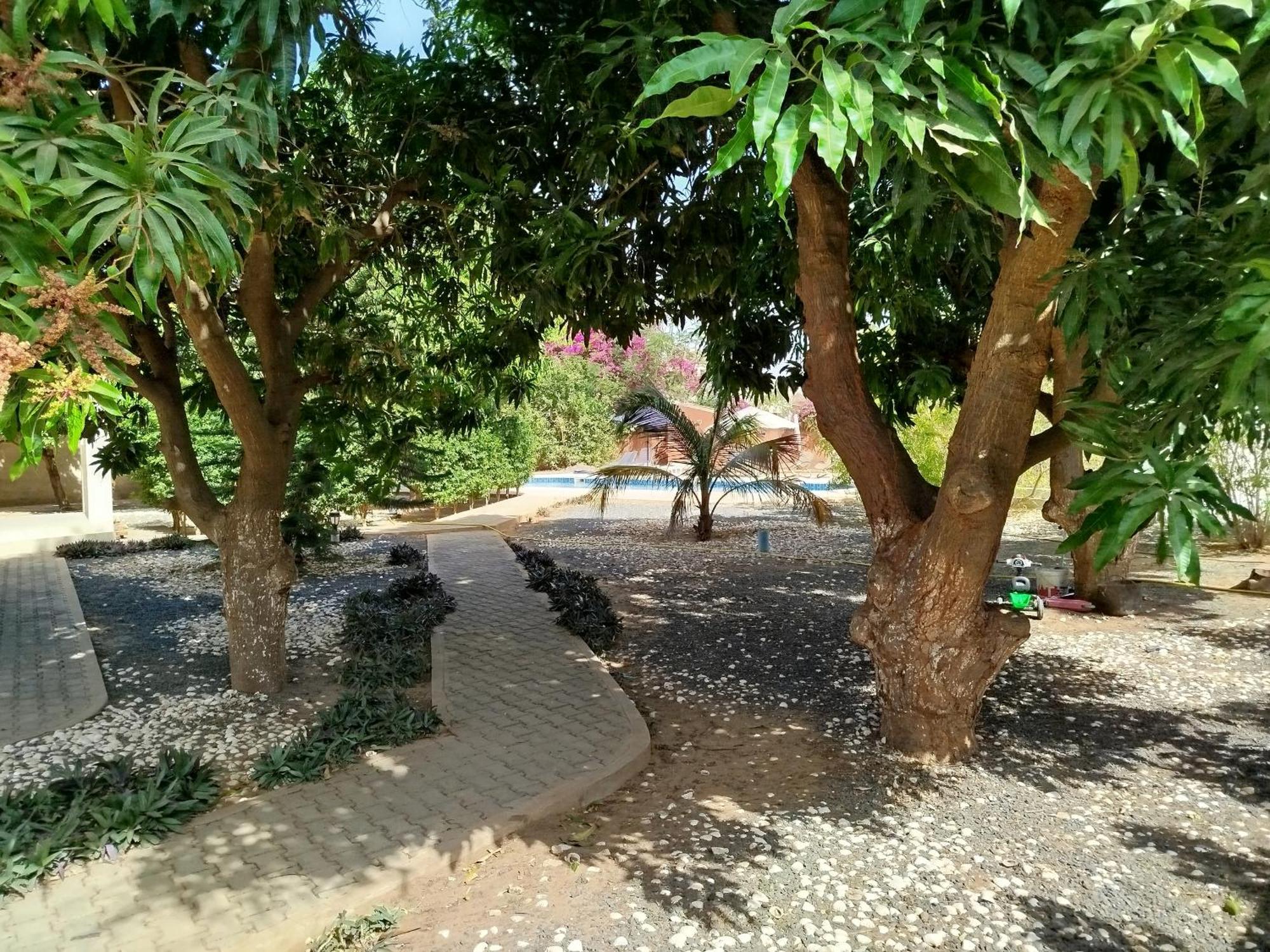 Al Jannah Bis Hotell Somone Exteriör bild